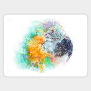 Parrot Head Sticker